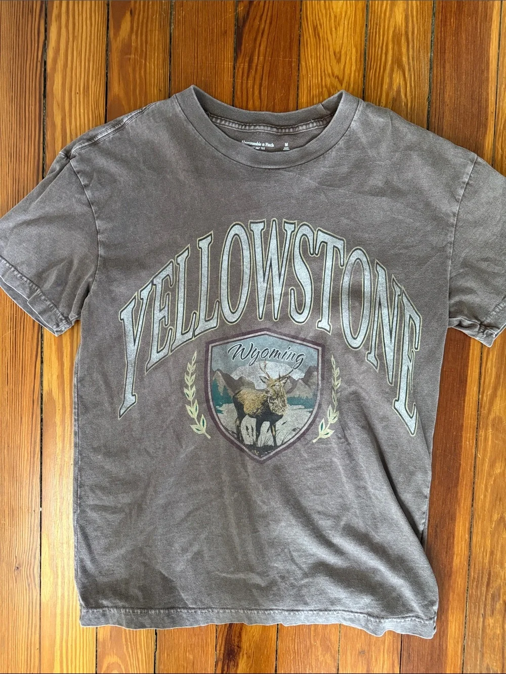Abercrombie graphic tee - Picture 1 of 2